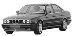 BMW E34 B253A Fault Code